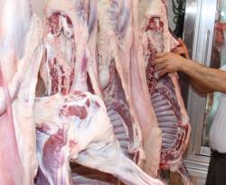 أسعار اللحم البلدي والدجاج في شارع الصناعة بدمشق
