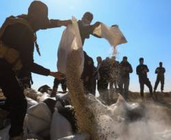 صحيفة بريطانية: اقتصاد الكبتاغون في سوريا تراجع بنسبة 80% منذ سقوط نظام الأسد