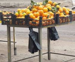 أسعار بعض السلع في ريف القنيطرة