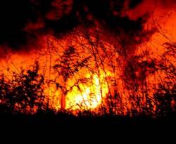 حرائق كبيرة تحاصر القرداحة