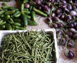 أسعار بعض السلع في ريف حمص الشمالي