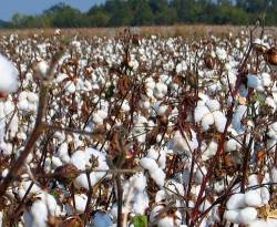 نجاحات خفية للمعارضة...أهم من تلك العسكرية