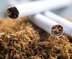 التبغ في سوريا.. من عائلة الأسد إلى القطاع الخاص