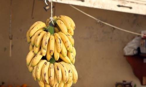 رغم مصدره "الطرطوسي".. الموز يباع بأربعة أضعاف سعره العالمي